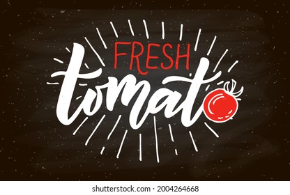 Hand sketched Tomato product lettering typography. Concept for farmers market, organic food, natural product design, juice, sauce, ketchup. Tomato logotype, badge, icon.  banner, flyer 