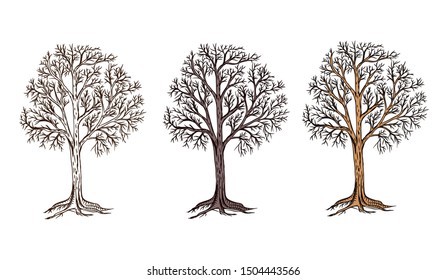 Hand sketched tree dry symbol vector illustration graphic style