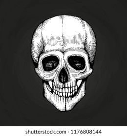 Hand sketched vector death scary human skull isolated on black chalkboard illustration