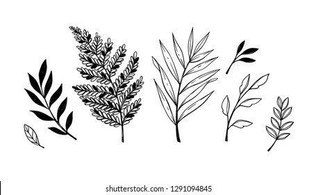 Hand sketched vector elements ( laurels, leaves, branches). Wild and free. Floral design elements. Perfect for invitations, greeting cards, prints, posters