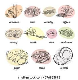 Hand sketched vector spices for bakery. Vintage hand drawn spices for your menu