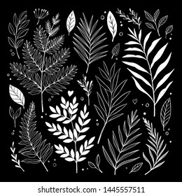 Hand sketched vector vintage elements ( herbs, leaves, flowers, branches). Wild and free. Botanical illustrations. Perfect for invitations, greeting cards, quotes, blogs, Wedding Frames, posters