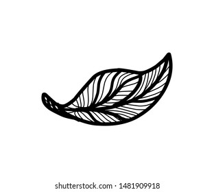 Hand sketched vector vintage elements. leaves vector illustration.  Perfect for invitations, greeting cards, quotes, blogs, posters.
