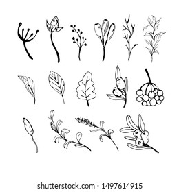 Hand sketched vector vintage elements - laurels, leaves, flowers, swirls and feathers. Wild and free. Perfect for invitations, greeting cards, quotes, blogs, Wedding Frames, posters 