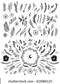 Hand sketched vector vintage elements ( laurels, leaves, flowers, swirls and feathers). Wild and free. Perfect for invitations, greeting cards, blogs, Wedding Frames, posters 