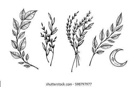 Hand sketched vector vintage elements ( laurels, frames, leaves, flowers, swirls, feathers). Wild and free. Perfect for invitations, greeting cards, quotes, blogs, posters.
