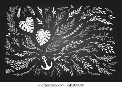 Hand sketched vector vintage elements ( laurels, leaves, flowers, swirls, branches). Chalkboard background. Summer collection. Perfect for invitations, greeting cards, posters, prints etc