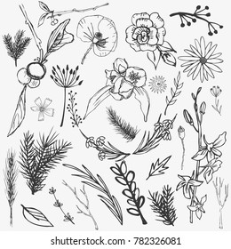 Hand sketched vector vintage elements ( laurels, leaves, flowers). Wild and free. Perfect for invitations, greeting cards, quotes, blogs, Wedding Frames, posters