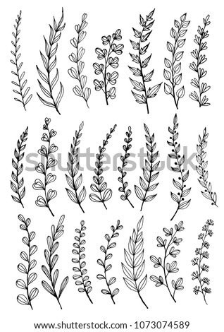 Hand sketched vector vintage elements.Wild and free. Perfect for invitations, greeting cards, quotes, blogs, Wedding Frames, posters.silhouette of elements