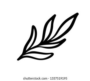 Hand sketched vector vintage floral elements - laurels leaves flower swirls and feathers. Wild and free. Perfect for invitations greeting cards, quotes blogs wedding frames, posters