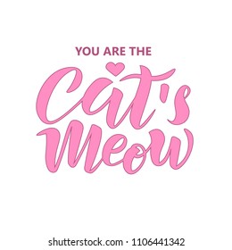 Hand sketched  You are the cat’s meow text. Lettering typography for logo, clothing, badge, icon, card, invitation and banner template. Vector illustration.