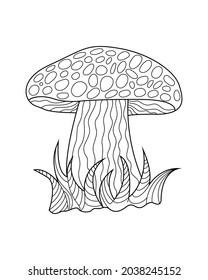 Hand sketches of doodles of mushrooms. Vector sketches of autumn forest plants. Design element for print, label, logo, packaging, template, badge, book, coloring book.
