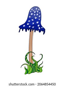 Hand sketches of doodles of mushrooms. Vector sketches of autumn forest plants. Design element for print, label, logo, packaging, template, badge, book, coloring book.