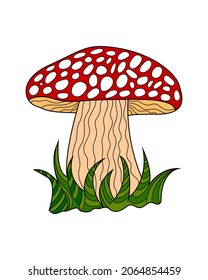 Hand sketches of doodles of mushrooms. Vector sketches of autumn forest plants. Design element for print, label, logo, packaging, template, badge, book, coloring book.