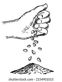 Hand sowing seeds. Vector sketch illustration with hand putting seed to ground. Process of seeding in sketch style. Sowing seeds and agriculture. Isolated on white background