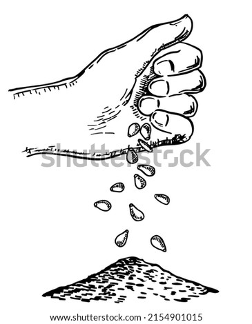 Hand sowing seeds. Vector sketch illustration with hand putting seed to ground. Process of seeding in sketch style. Sowing seeds and agriculture. Isolated on white background