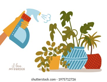 Hand spraying house Plants in pots. Water Pulverizer Symbol with home flower. Hand holds Spray Bottle for watering potted flowers. Care of houseplants and indoor gardening. Vector flat illustration