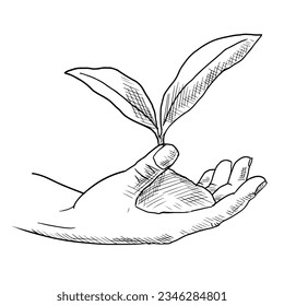 Hand with a sprout. Ecology illustration. Isolated on white. Hand drawn style.