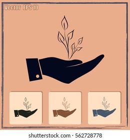 Hand with sprout icon