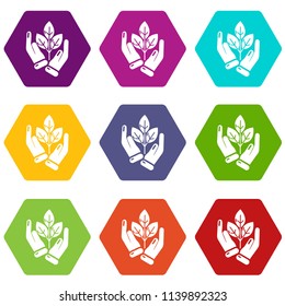 Hand sprout icons 9 set coloful isolated on white for web