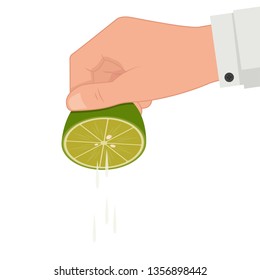 The hand is squeezing the lime. lime vector. white background.