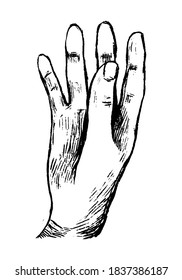 The hand takes something. Hand drawn vector contour illustration. Abstract retro graphic drawing isolated on white. Single black element for design prints, t-shirt, poster, decor, typography, card.