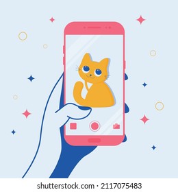 Hand taking a picture of a cute cat
