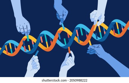 the hand that completes the DNA Helix genetic concept vector illustration. used for info graphic, website image and other