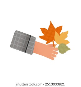 Eine Hand, die gefallene Herbstblätter hält. Grauer Hemdsärmel und Manschette kariert. Herbstthema. Clipart. Isoliertes Design-Element auf weißem Hintergrund.