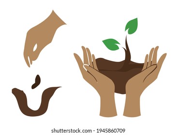 The hand that was planting the seed and the hand that was holding the seedling