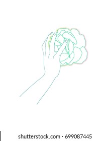 Hand touching green rose in the white background. Soft and gentle touch. Mindfulness and relaxation feelings. Asian style picture for greeting cards, badge, wedding invitations, tattoo or birthday