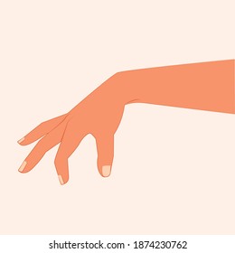 Hand touching or pointing to something. Close-up hand making gesture while showing or holding something isolated white background. Reach something by hand. Realistic grabbing hand vector illustration