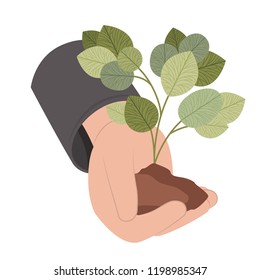 hand with tree plant isolated icon