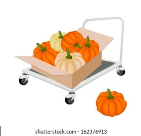 Hand Truck or Dolly Loading Cardboard Box Full with Fresh Pumpkins, Ready for Shipping or Delivery.  