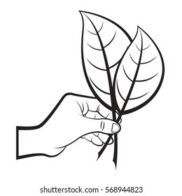 hand with two leaves in black outline-vector drawing