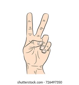 hand, two thumbs up, greeting, gesture, on white background