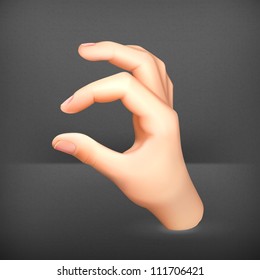 Hand vector