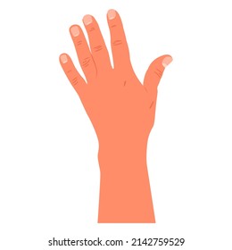 Ilustración de dibujos animados vectoriales manuales aislados en un fondo blanco.