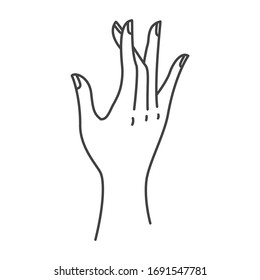 Hand vector collection, Hands illustration, hand positions, different hand colors, different hands