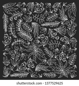 Hand vector drawn floral, leaves elements. Pattern for logo, greeting card, wedding design.