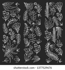 Hand vector drawn floral, leaves elements. Pattern for logo, greeting card, wedding design.