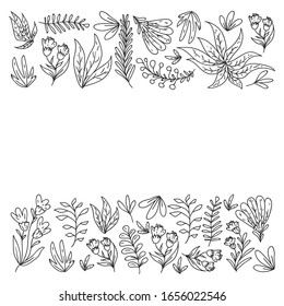 Hand vector drawn floral, leaves elements. Pattern for logo, greeting card, wedding design.