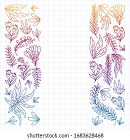 Hand vector drawn floral, leaves elements. Pattern for logo, greeting card, wedding design.