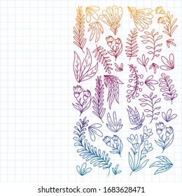 Hand vector drawn floral, leaves elements. Pattern for logo, greeting card, wedding design.