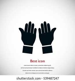hand vector icon, flat design best vector icon