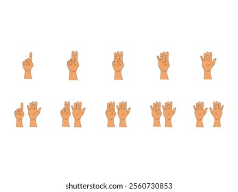 Hand Vector Illustration Element Set