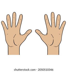 hand vector illustration,isolated on white background,top view