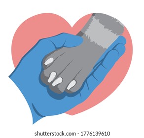 The hand of veterinarian in a medical glove gently holds a dog's paw on the background of a pink heart. Zoologist and animal. Symbol of love for dogs. Animal protecting community. Vector flat design.