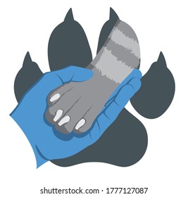 The hand of veterinarian in medical glove gently holds a dog's paw on the background of the imprint of a dog's paw. Symbol of love for dogs. Zoologist. Animal protecting community. Vector flat design.