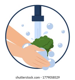 Hand washing broccoli vector isolated. Wash fruits and vegetables before eating concept. Healthy lifestyle tips. Clean vegetable in water and soap.